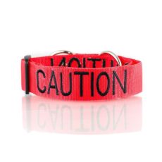 Dexil Caution Snap Collar