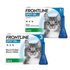 Frontline Spot On for Cats