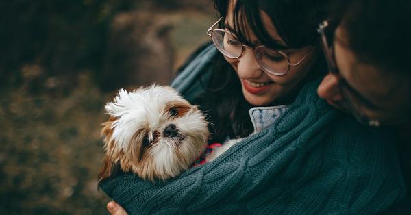 How to Prevent Your Pet From Shedding Their Coat